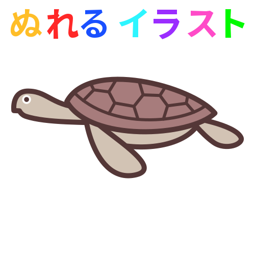 70以上 ウミガメ イラスト