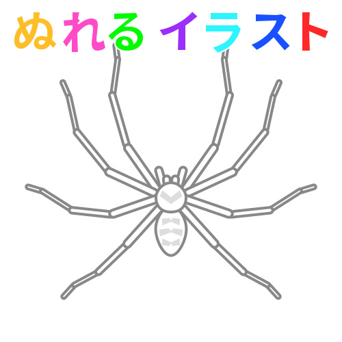 色塗りできる蜘蛛 アシダカグモ のフリーイラスト ぬれるイラスト Nureyon
